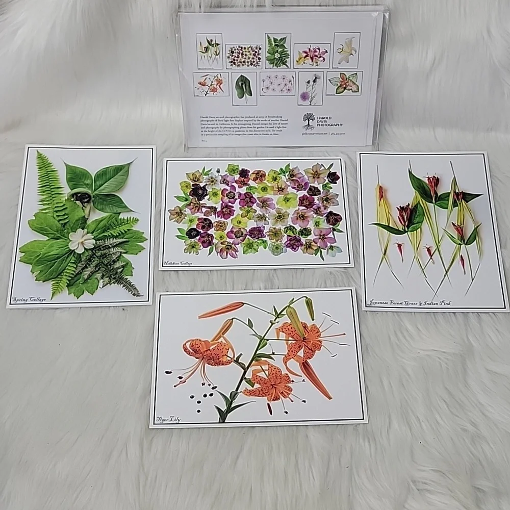 HAROLD DAVIS PHOTOGRAPHY‎ Blank Floral Green Garden Greeting Note Card Set of 10